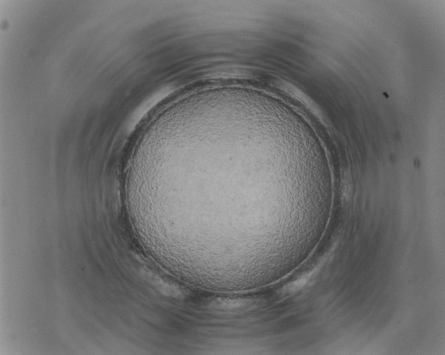 X0000074330829200609082030