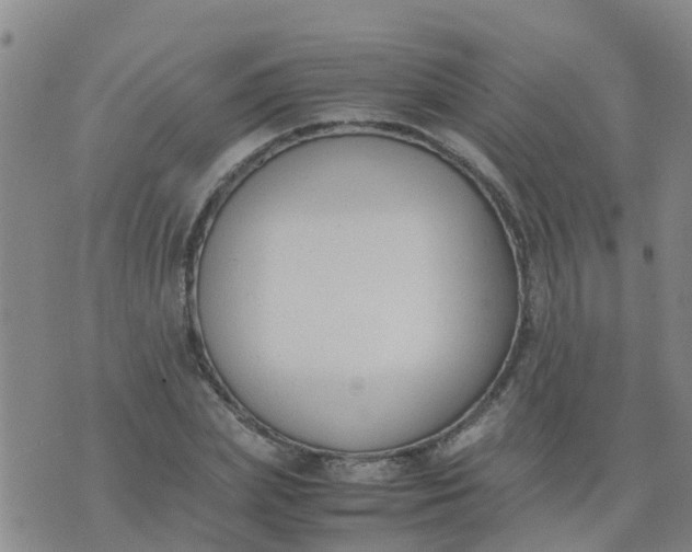 X0000074330831200609082030