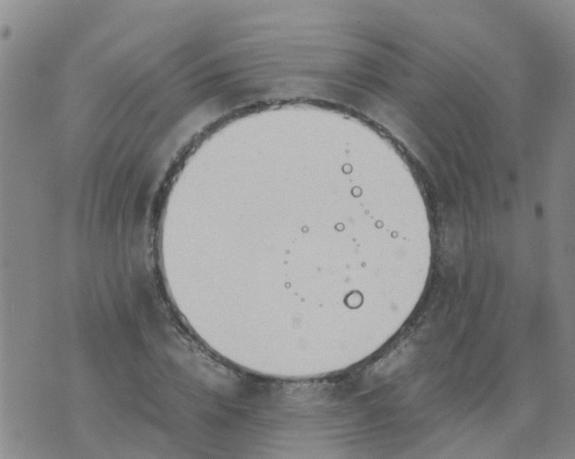 X0000074330832200609082030