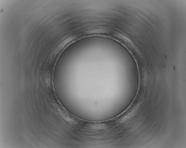 X0000074330833200609082030