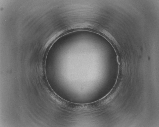 X0000074330834200609082030