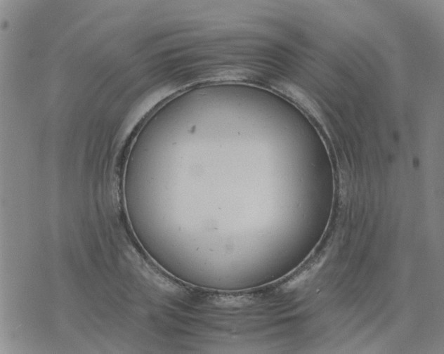 X0000074330835200609082030