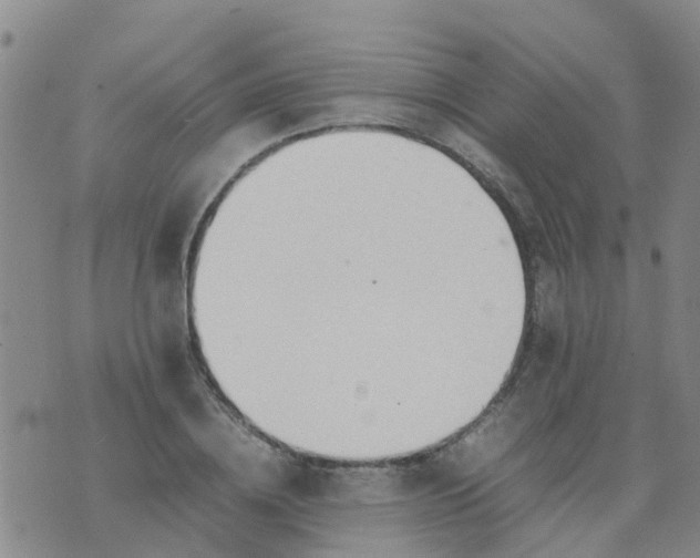 X0000074330836200609082030