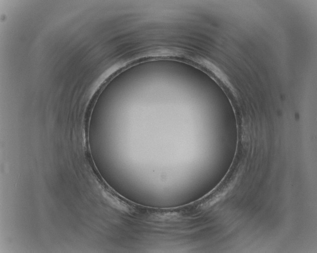 X0000074330837200609082030