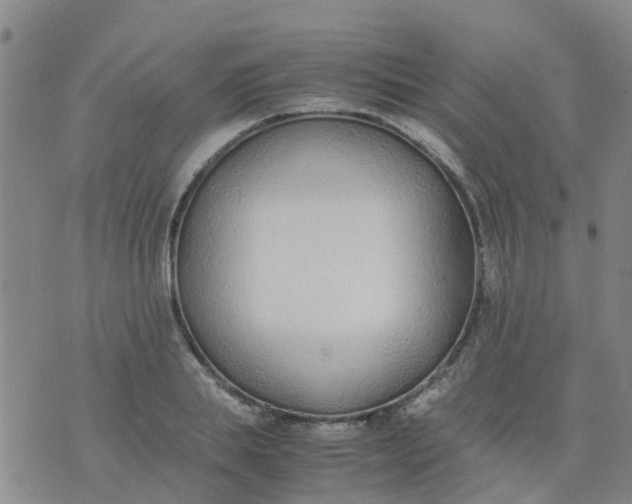 X0000074330839200609082030