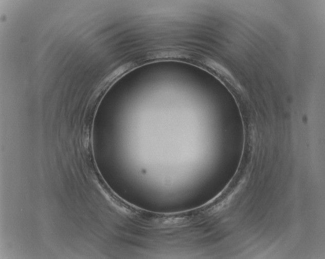 X0000074330841200609082030