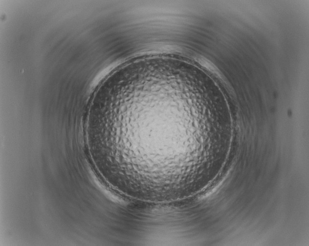 X0000074330842200609082030