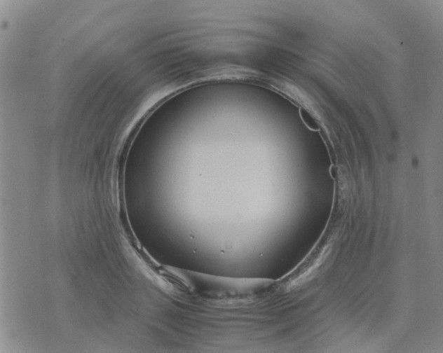 X0000074330843200609082030