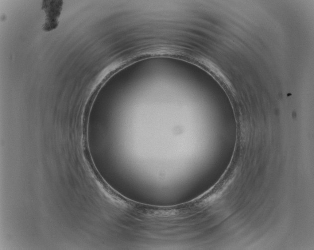 X0000074330845200609082030