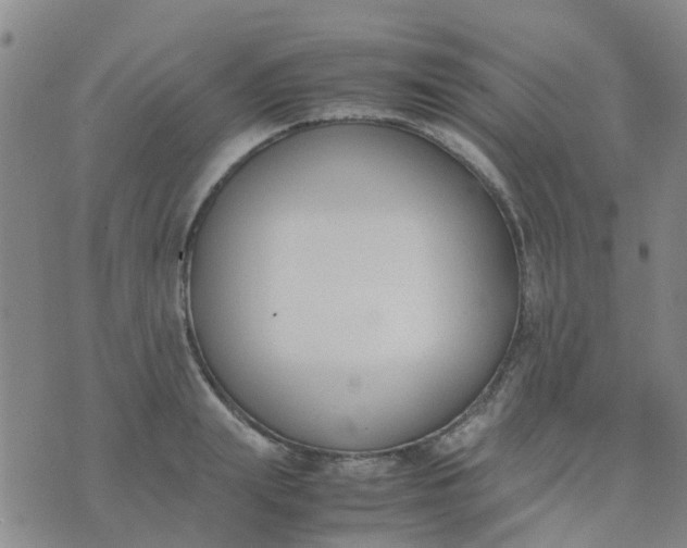 X0000074330847200609082030