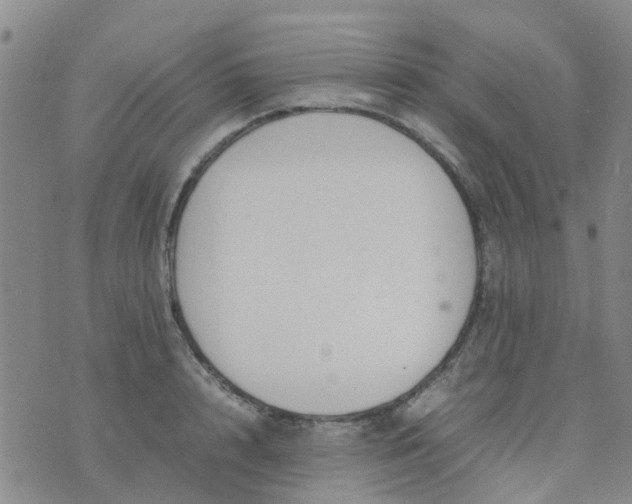 X0000074330848200609082030