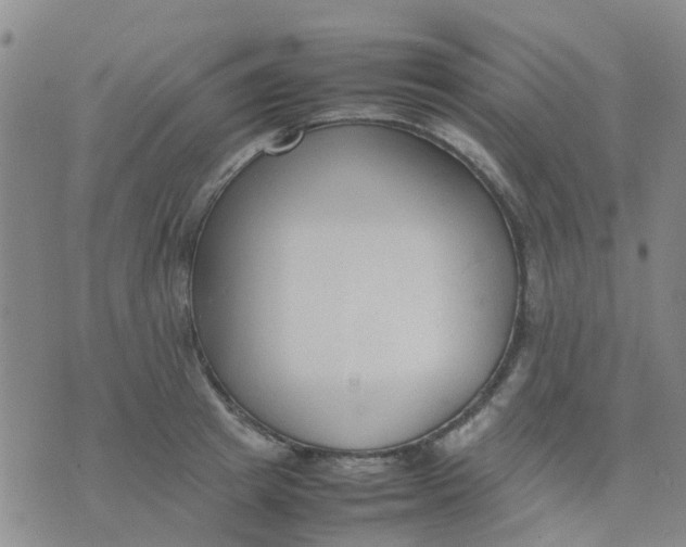 X0000074330849200609082030