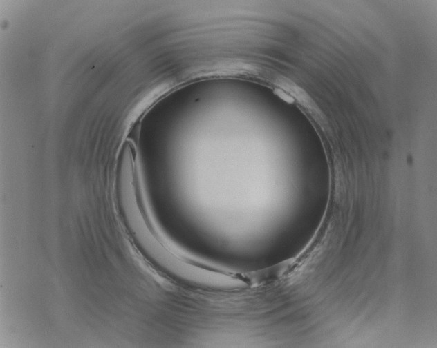 X0000074330850200609082030