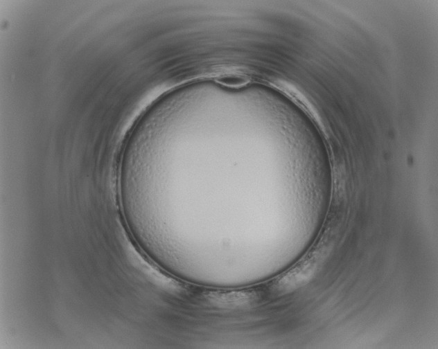 X0000074330851200609082030