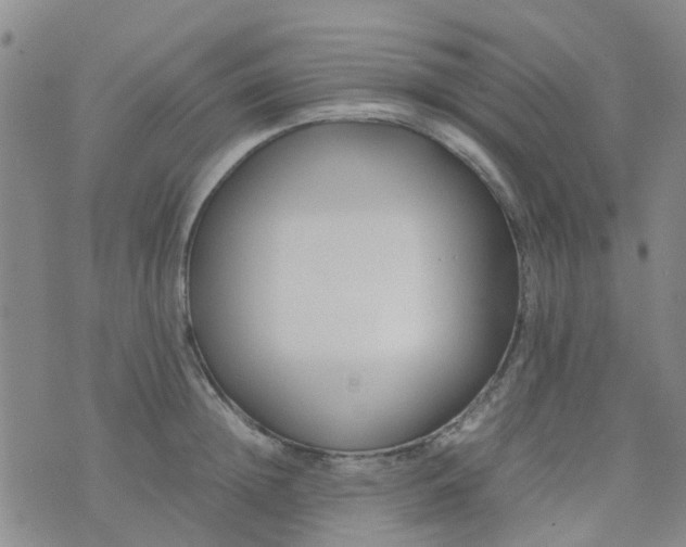 X0000074330852200609082030