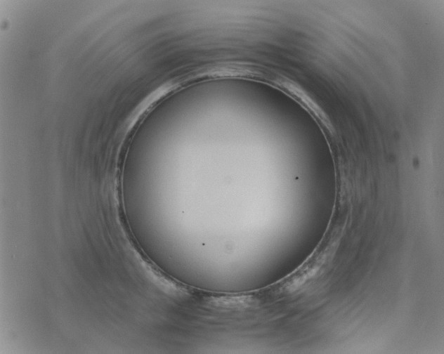 X0000074330853200609082030