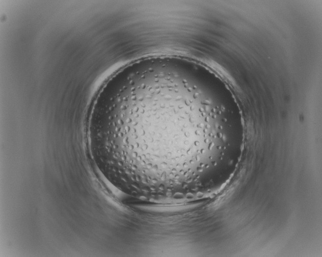 X0000074330854200609082030