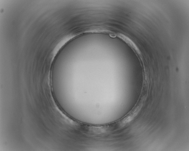 X0000074330855200609082030