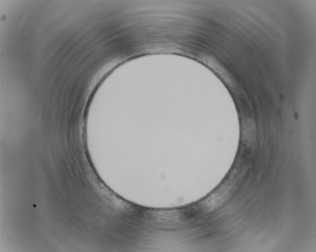 X0000074330856200609082030