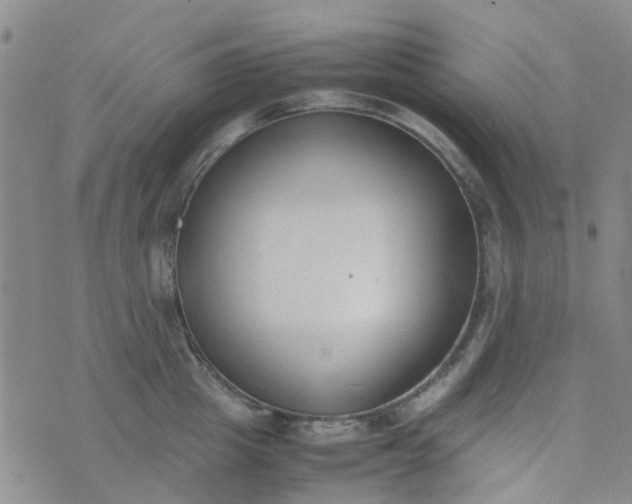 X0000074330857200609082030