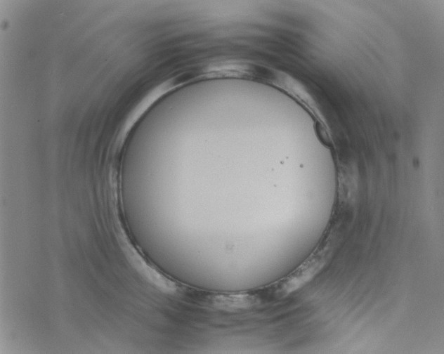 X0000074330859200609082030