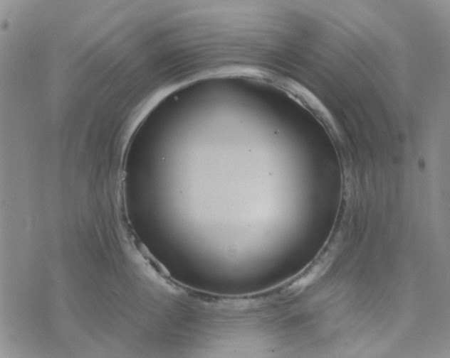 X0000074330860200609082030