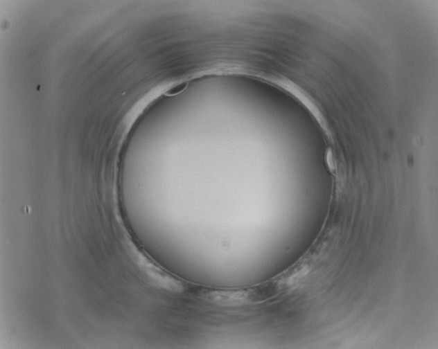 X0000074330861200609082030