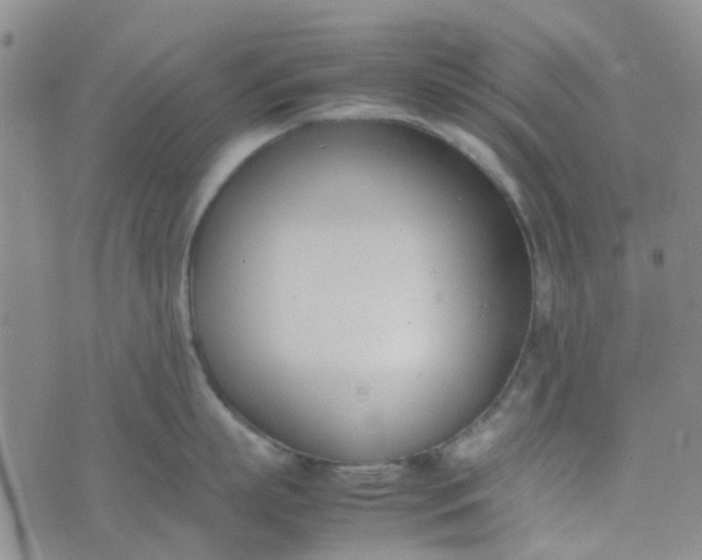 X0000074330863200609082030