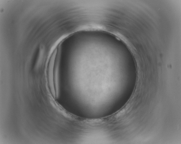 X0000074330864200609082030