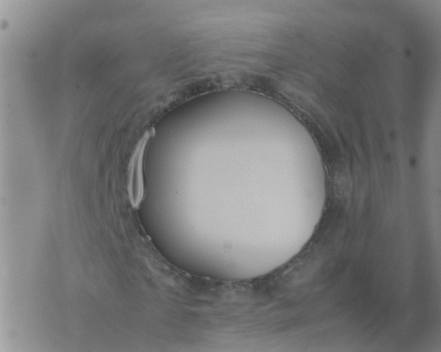 X0000074330865200609082030