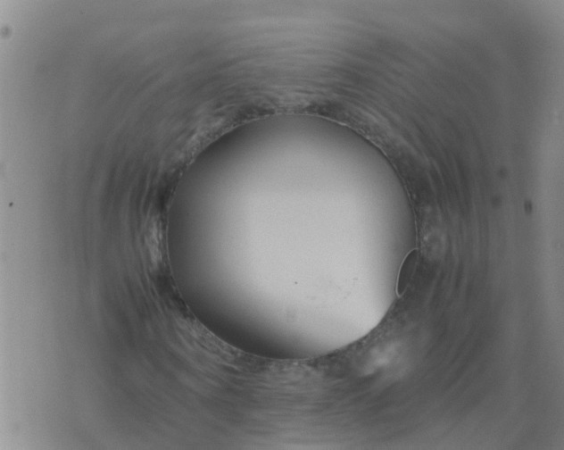 X0000074330866200609082030