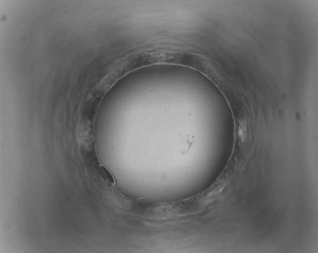 X0000074330867200609082030