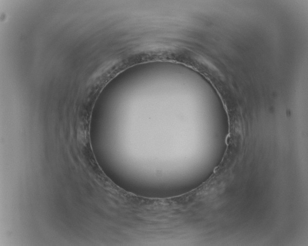 X0000074330869200609082030