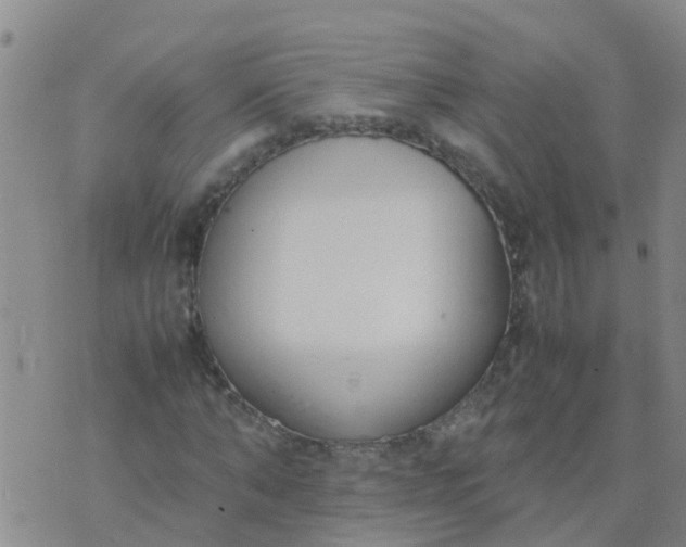 X0000074330870200609082030