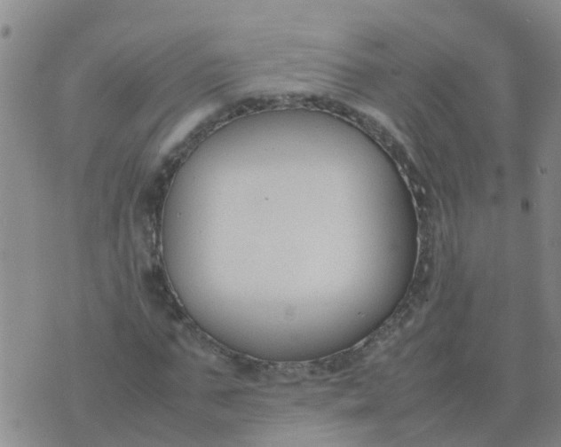 X0000074330871200609082030