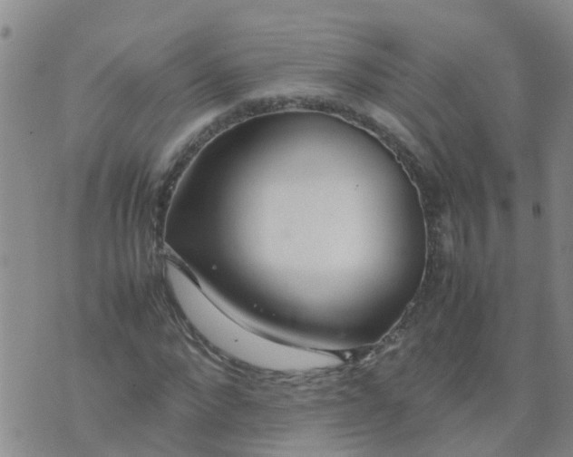 X0000074330872200609082029