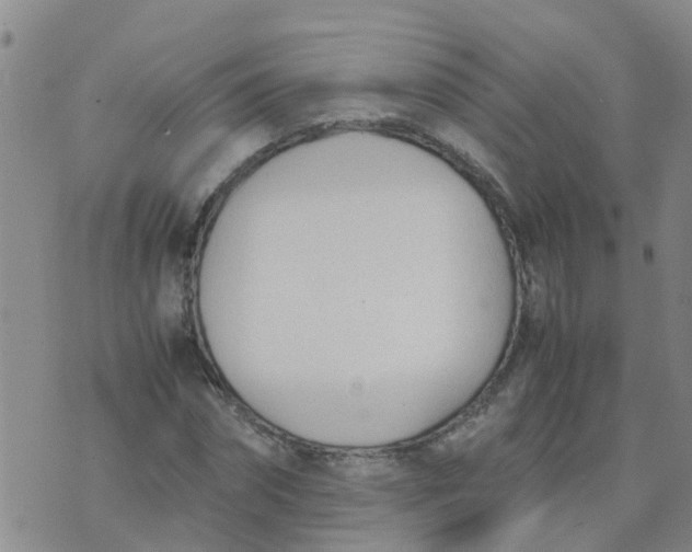 X0000074330874200609082029