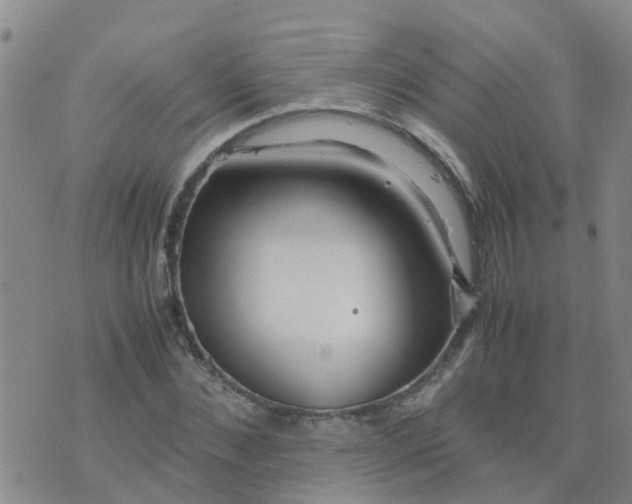 X0000074330876200609082029