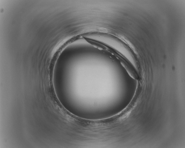 X0000074330877200609082029