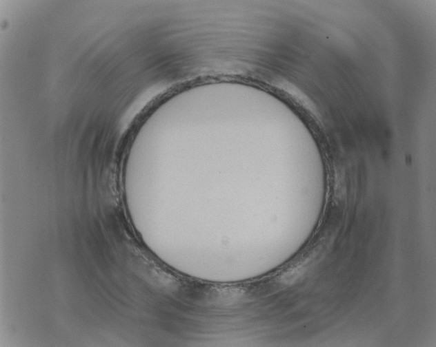 X0000074330878200609082029