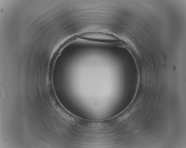 X0000074330880200609082029