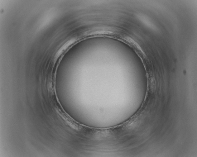 X0000074330882200609082029