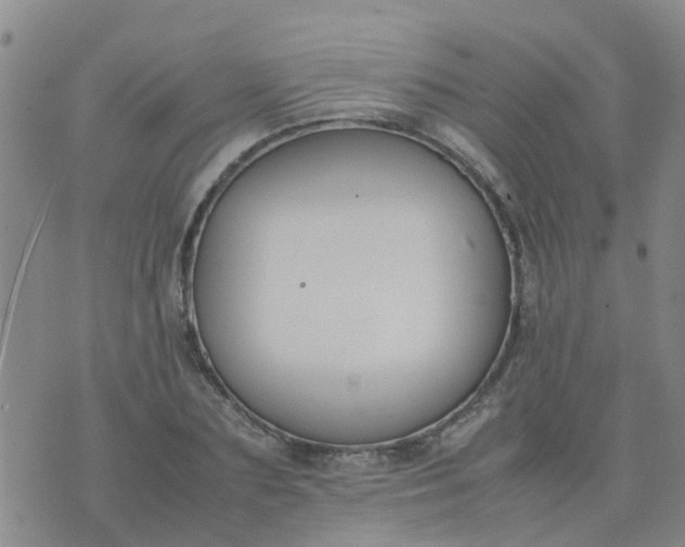 X0000074330883200609082029