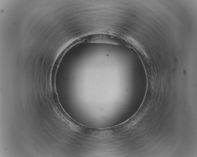 X0000074330884200609082029