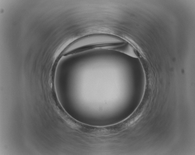 X0000074330885200609082029