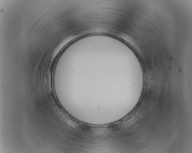 X0000074330886200609082029