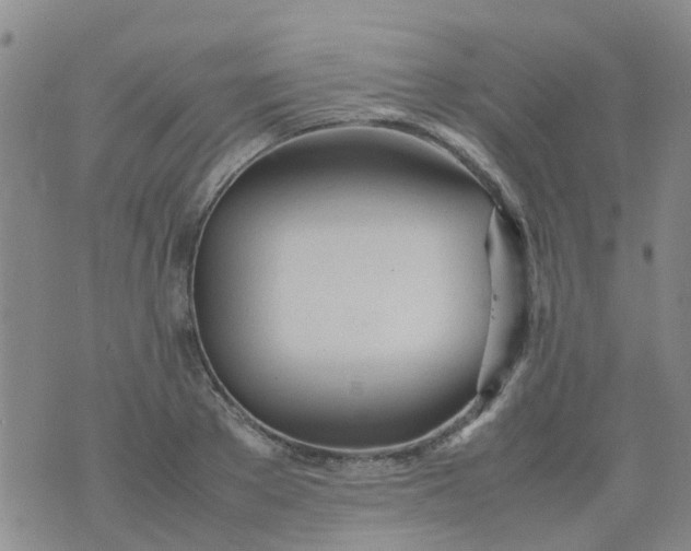 X0000074330889200609082029