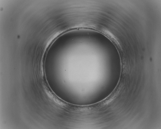 X0000074330892200609082029