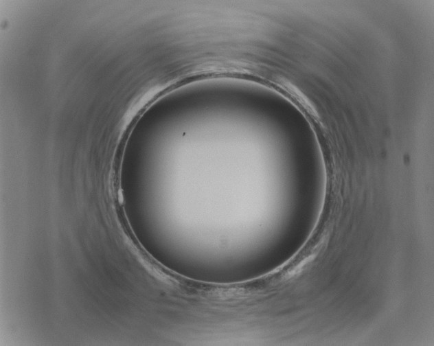 X0000074330893200609082029