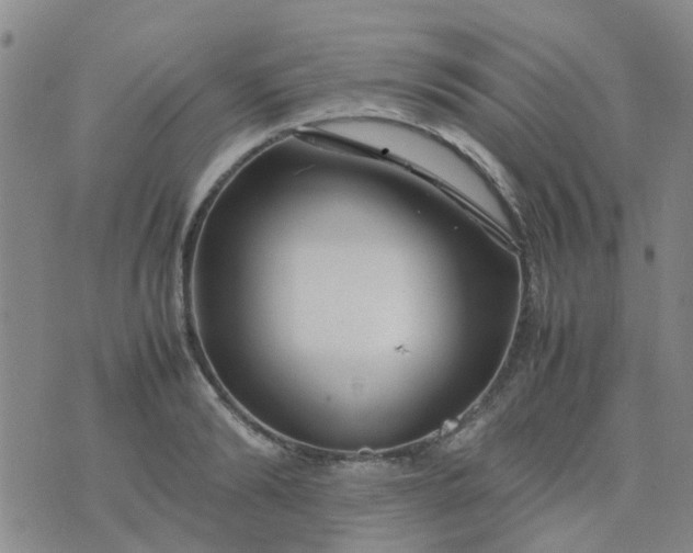 X0000074330894200609082029